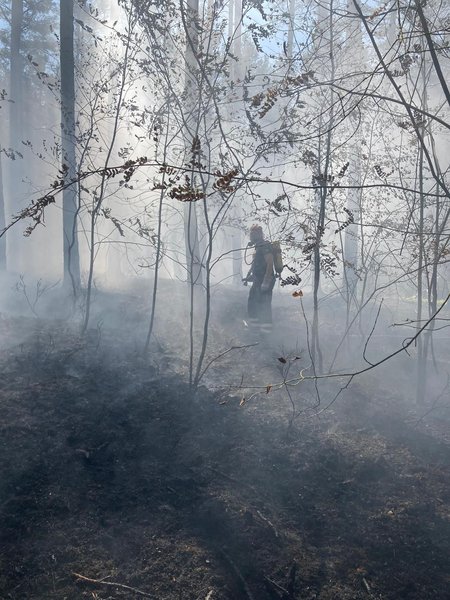 Verrauchter Wald, im Hintergrund ein Mann unter Atemschutz, nur schemenhaft zu erkennen