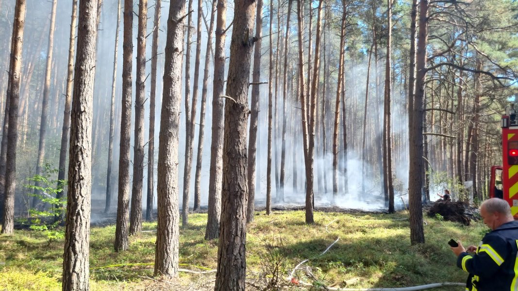 Wald mit rauch im Hintergrund, Feuerwehrangehörige auf der rechten Seite